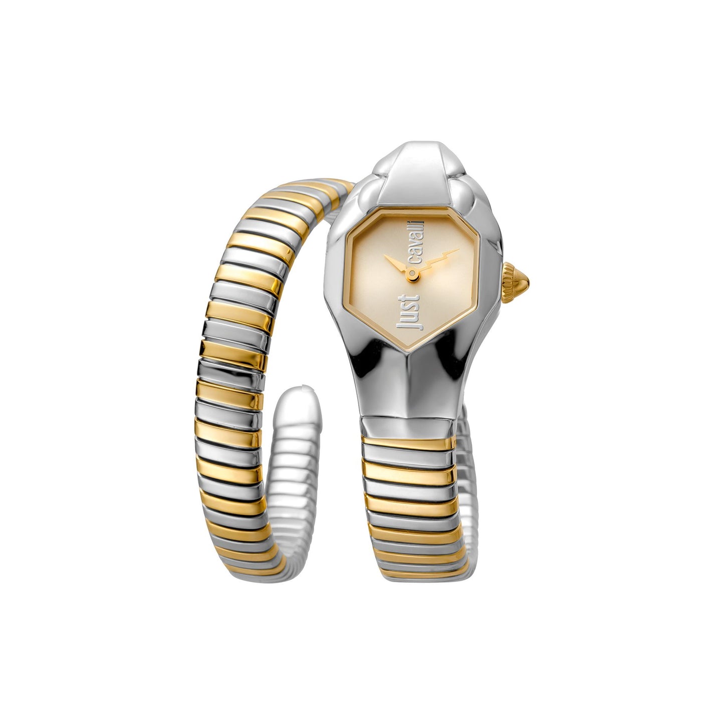 Just Cavalli Horloges